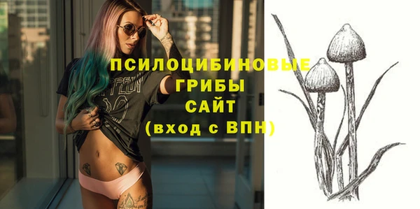 Альфа ПВП Алексин