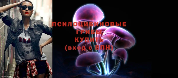 Альфа ПВП Алексин