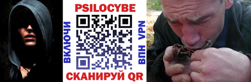 Галлюциногенные грибы ЛСД  Новосиль 