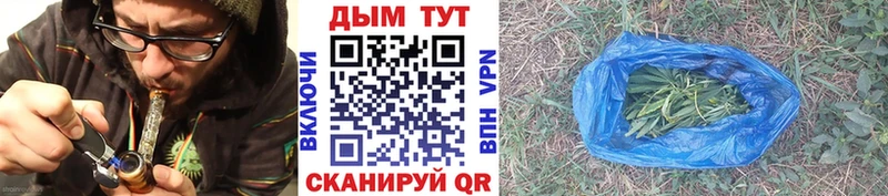 Каннабис Amnesia  Новосиль 
